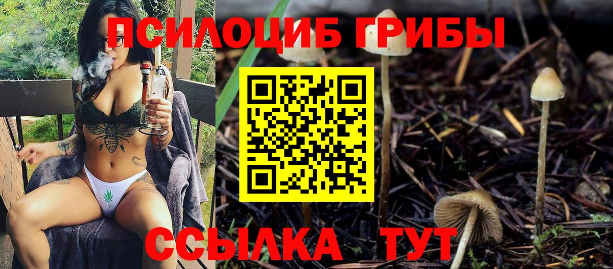 Псилоцибиновые грибы прущие грибы Кузнецк